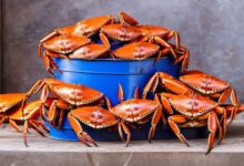 How Maryland Crabs Shipped Can Make Your Seafood Dinner Special