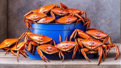 How Maryland Crabs Shipped Can Make Your Seafood Dinner Special