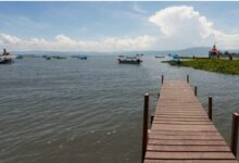 How Dock Construction Adds Style and Functionality to Your Waterfront Property