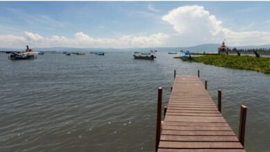 How Dock Construction Adds Style and Functionality to Your Waterfront Property